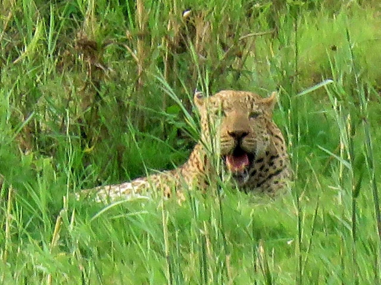 Edjami Marloth Park