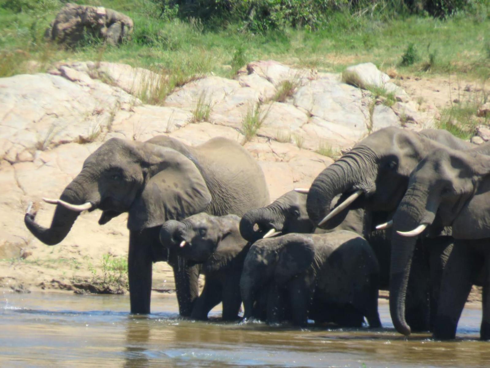 Edjami Villa Marloth Park